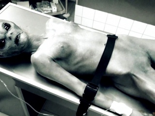 HORRORPORN – Roswell UFO